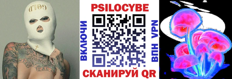 сколько стоит  Галич  Галлюциногенные грибы Cubensis 